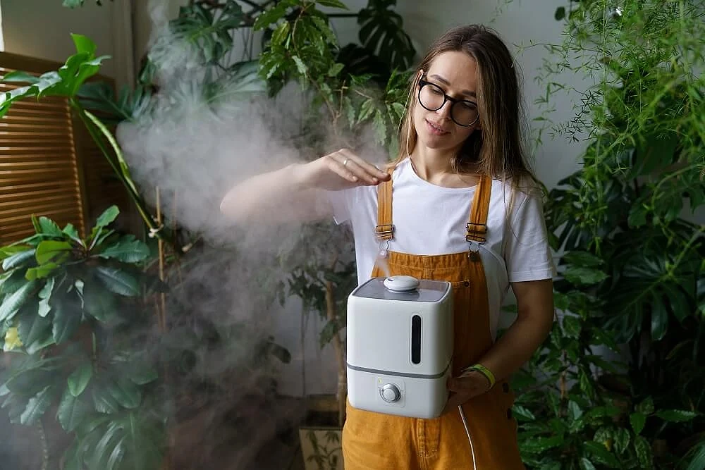 jaki nawilżacz powietrza do roślin jaki nawilżacz powietrza do roślin