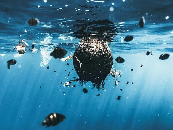 zanieczyszczone morza i oceany