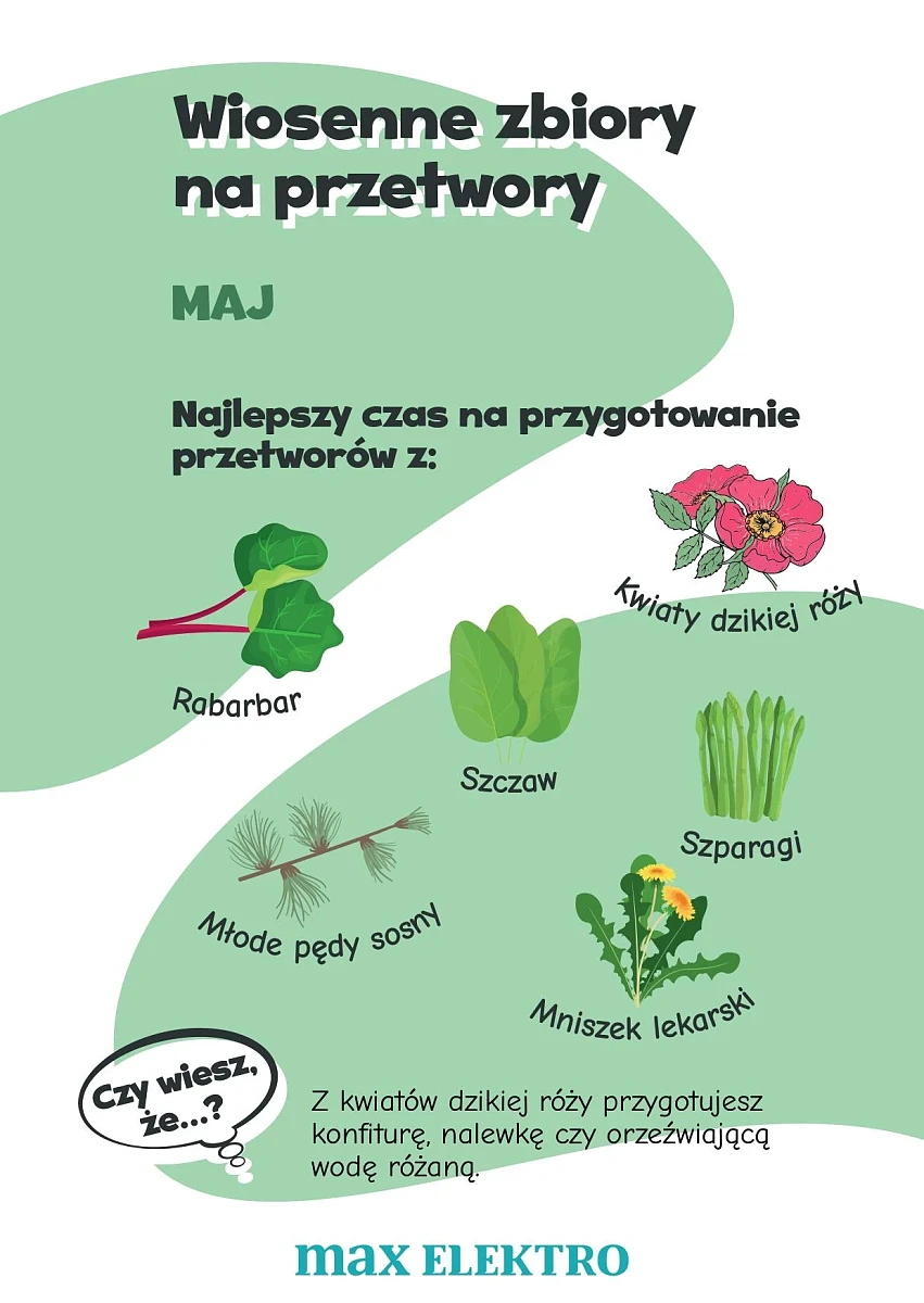 przetwory maj przetwory maj