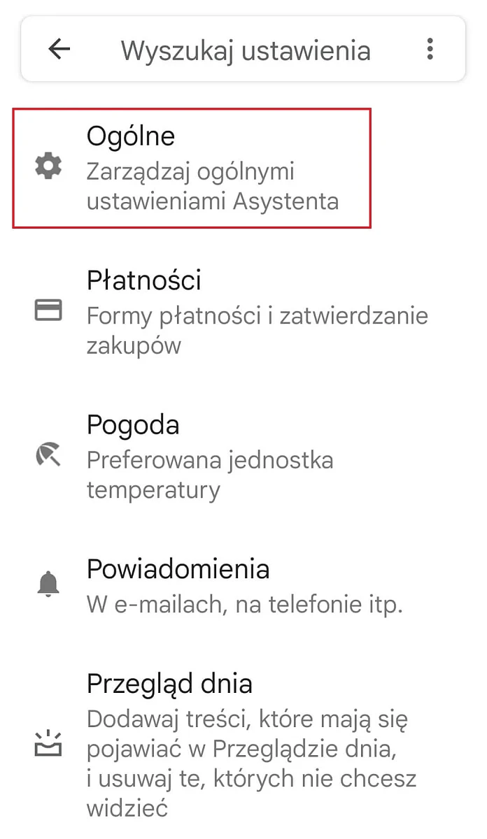Ustawienia w telefonie - Ogólne