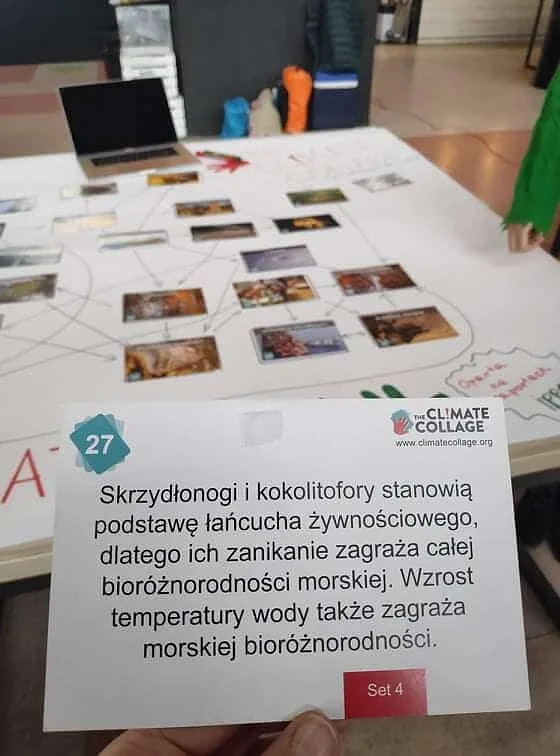 Mozaika klimatyczna szkolenia z kartami