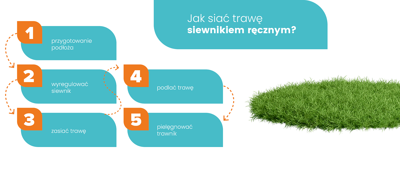 jak-siac-trawe-siewnikiem.png [509.63 KB]