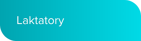 laktatory_mobile.png