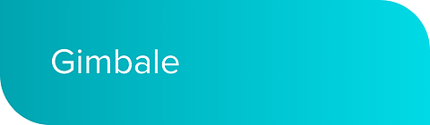 gimbale_mobile.png