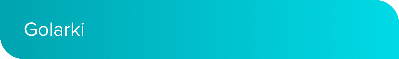 golarki_desktop.png