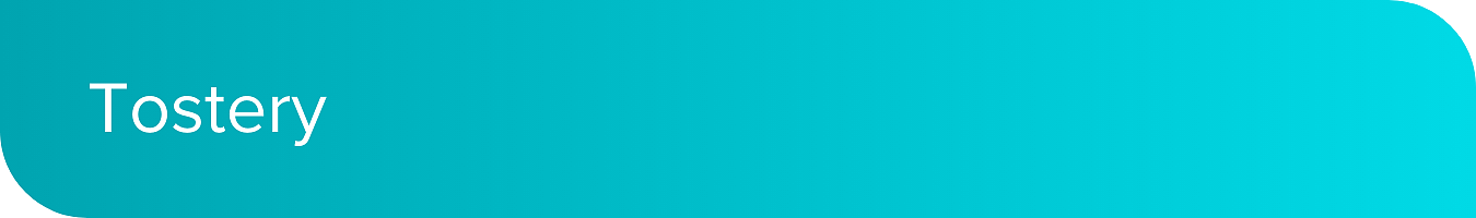 tostery_desktop.png