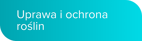 uprawa_ochrona_roslin_mobile.png