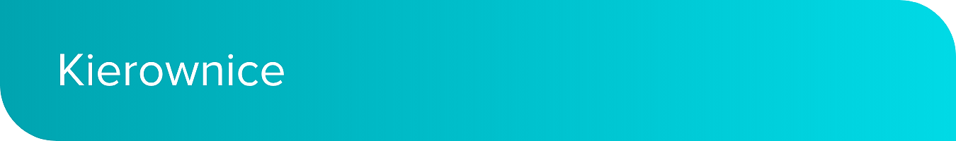 kierownice_desktop.png