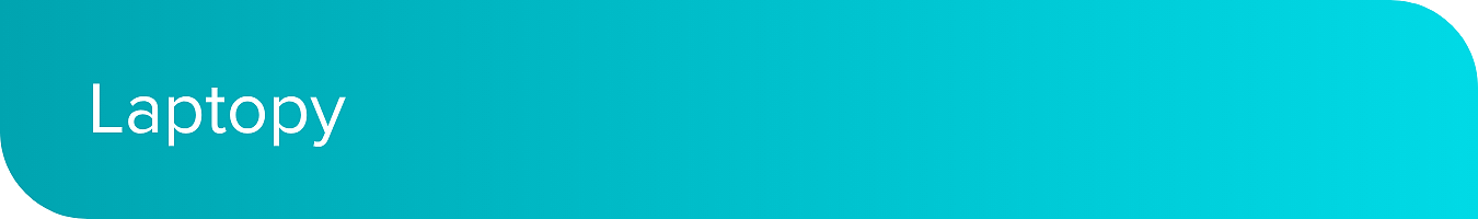 laptopy_desktop.png