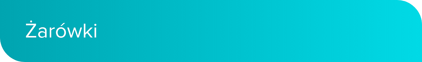 żarówki_desktop.png