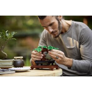 klocki-lego-icons-drzewko-bonsai-10281-prezentacja.jpg