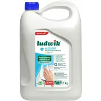 Balsam do mycia naczyń Ludwik aloesowy 5 kg