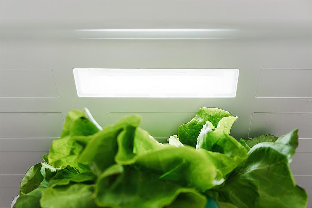 lodowka-kernau-kfrc-18161.1-nf-x-led.jpg