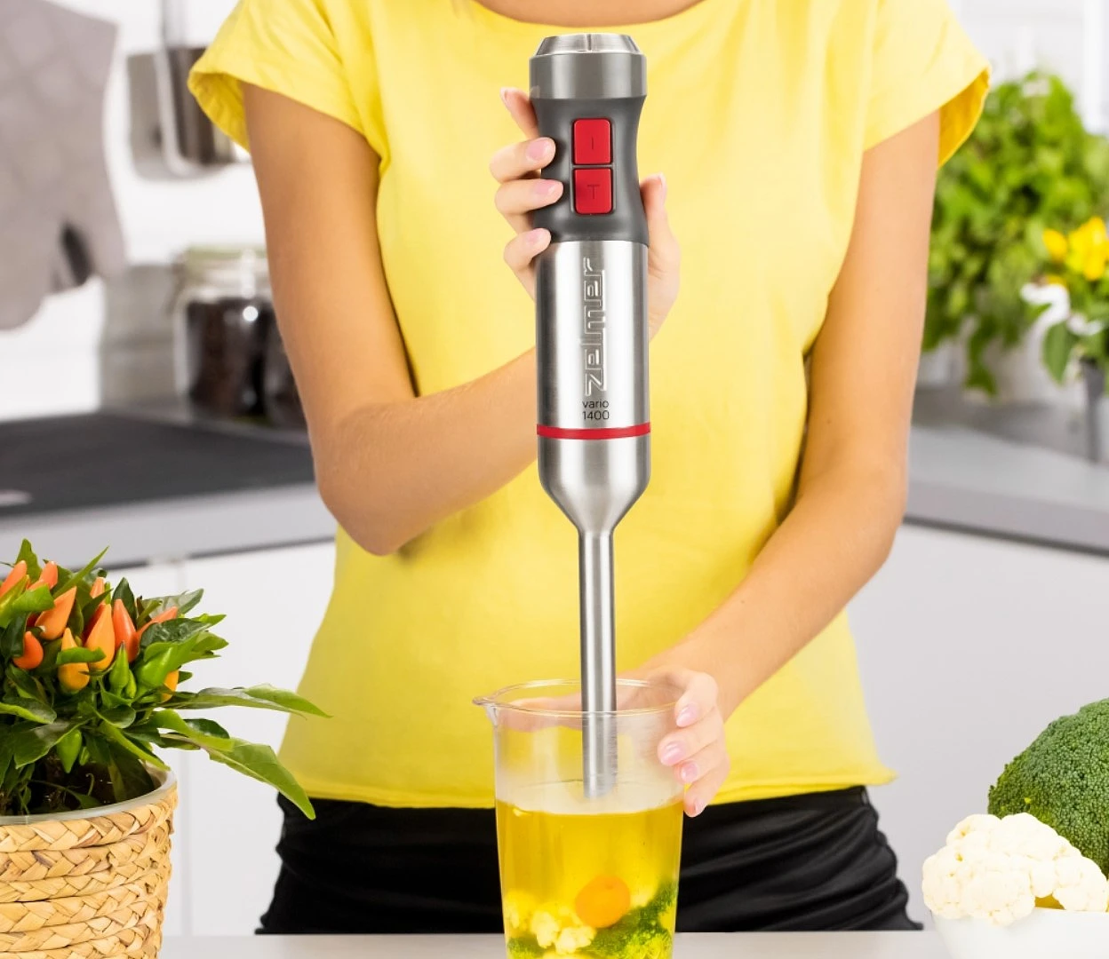 blender-zelmer-zhb4650.zdj9.jpg