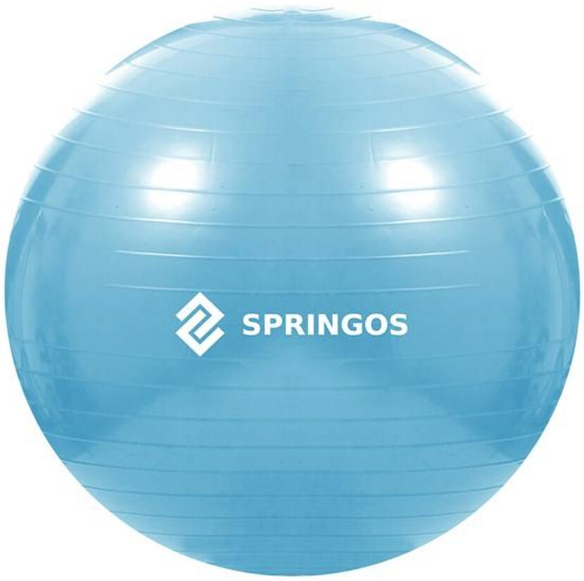 pilka-gimnastyczna-springos-fb0006-55cm-blekitna-4.jpg