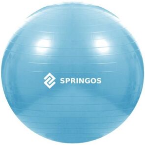 pilka-gimnastyczna-springos-fb0006-55cm-blekitna-4.jpg