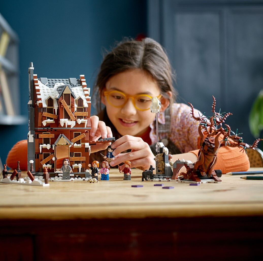 lego-harry-potter-chata-wierzba-bijaca-76407-6.jpg