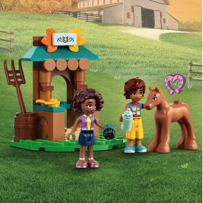 klocki-lego-friends-dom-autumn-41730-aranzacja2.jpg