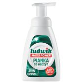 pianka-do-naczyn-ludwik-maxx-power-300-ml-glowne.jpg