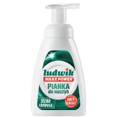 pianka-do-naczyn-ludwik-maxx-power-300-ml-glowne.jpg