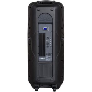 glosnik-power-audio-blaupunkt-pa25-tyl.jpg