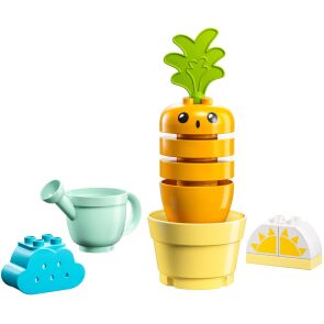 klocki-lego-duplo-rosnaca-marchewka-10981.zdj2.jpg