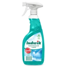 Płyn do mycia szyb i luster Ludwik Fresh 0,6l