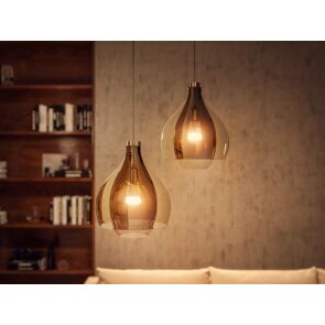 inteligentna-zarowka-philips-hue-e27-a60-1100-lm--aranzacja-2.jpg