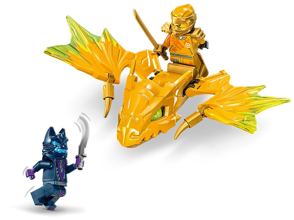 lego-ninjago-atak-smoka-arina-71803%20%283%29.jpg