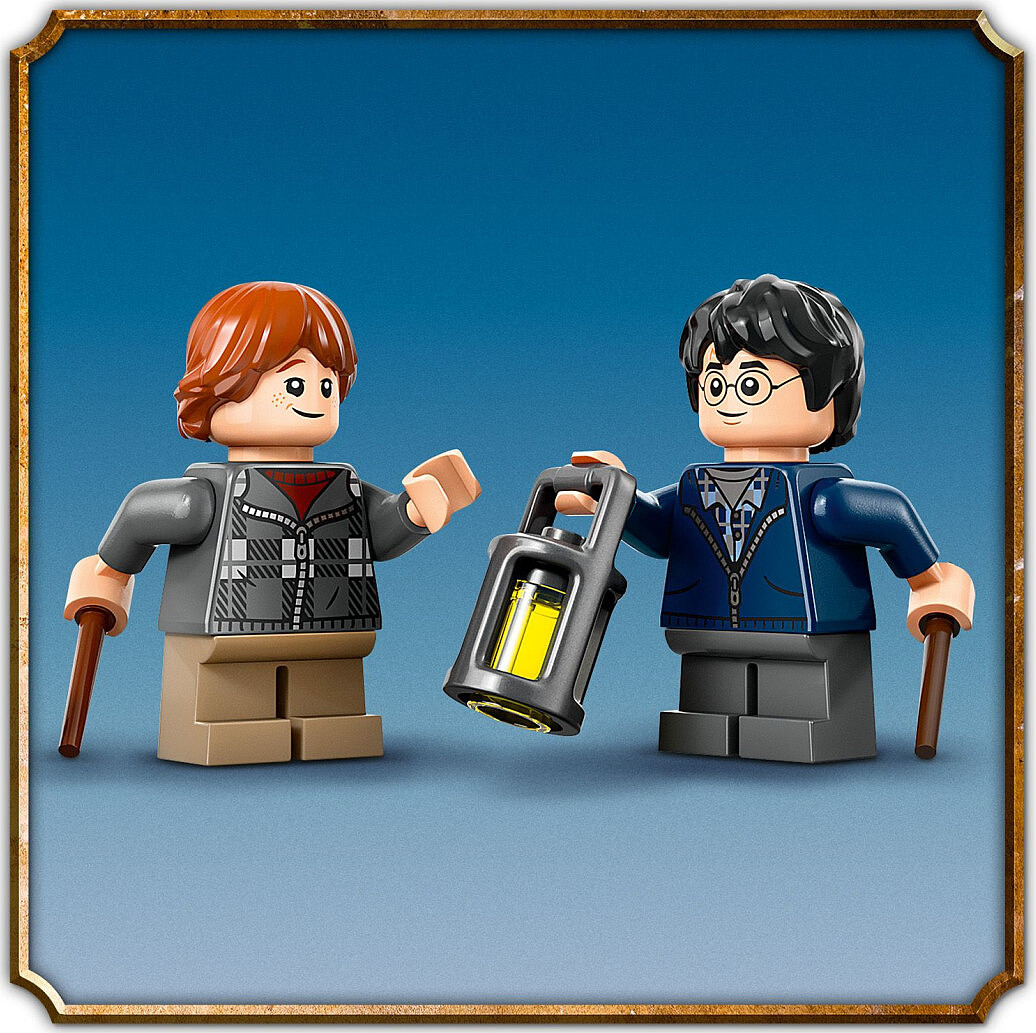 klocki-lego-harry-potter-aragog-w-zakazanym-lesie-76434-7.jpg