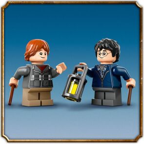 klocki-lego-harry-potter-aragog-w-zakazanym-lesie-76434-7.jpg