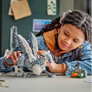 klocki-lego-harry-potter-hardodziob-76427-5.jpg
