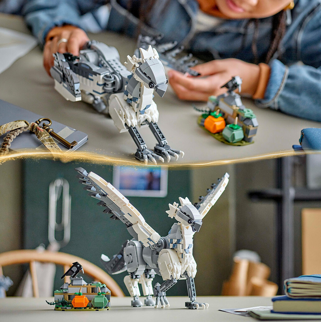 klocki-lego-harry-potter-hardodziob-76427-4.jpg