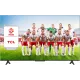 Telewizor TCL 50V6B 50" LED 4K UHD Google TV