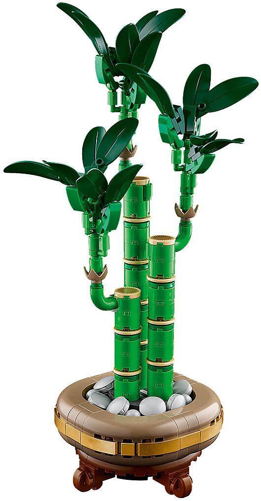 klocki-lego-botanical-dracena-sandera-10344-12.jpg