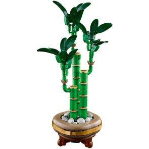 klocki-lego-botanical-dracena-sandera-10344-12.jpg