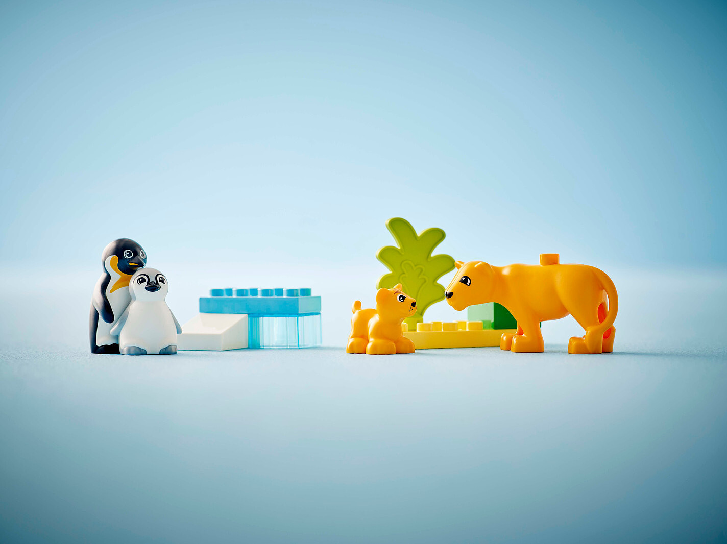 klocki-lego-duplo-town-rodziny-dzikich-zwierzat-pingwiny-i-lwy-10442-4.jpg