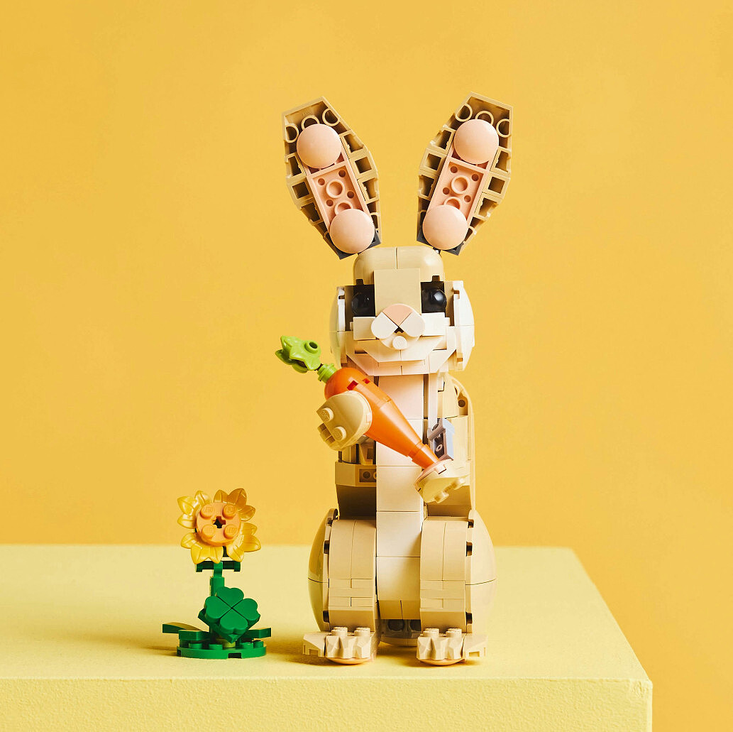 klocki-lego-creator3w1-31162.zdj016.jpg