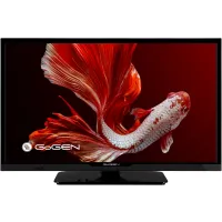 Telewizor Gogen TVH24P352T 24" LED HD Ready