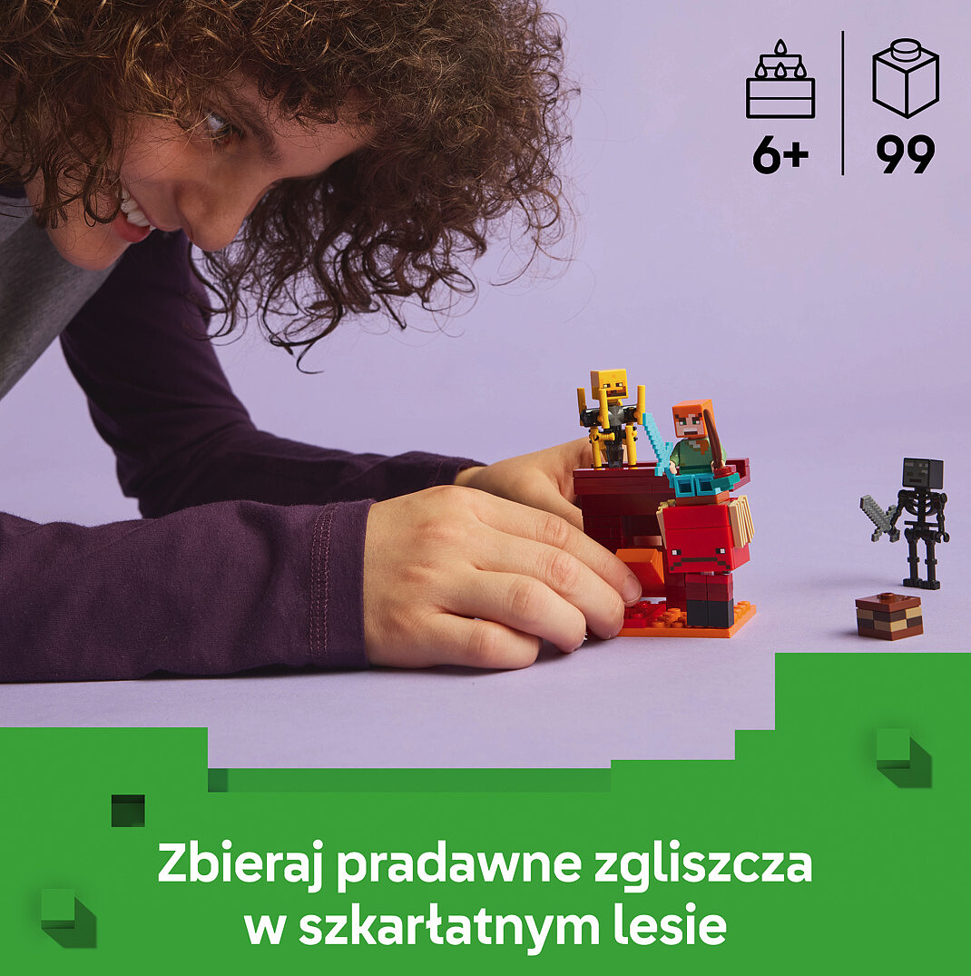 klocki-lego-minecraft-bitwa-na-moscie-netheru-21266-klocki.jpg