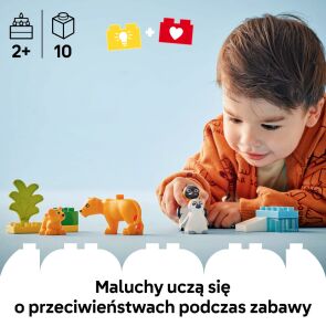 klocki-lego-duplo-town-rodziny-dzikich-zwierzat-pingwiny-i-lwy-10442-klocki.jpg