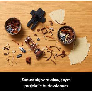 klocki-lego-icons-maszyna-latajaca-leonarda-da-vinci-10363-rozlozone.jpg