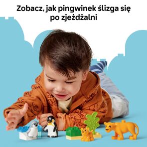 klocki-lego-duplo-town-rodziny-dzikich-zwierzat-pingwiny-i-lwy-10442-zabawa-6.jpg