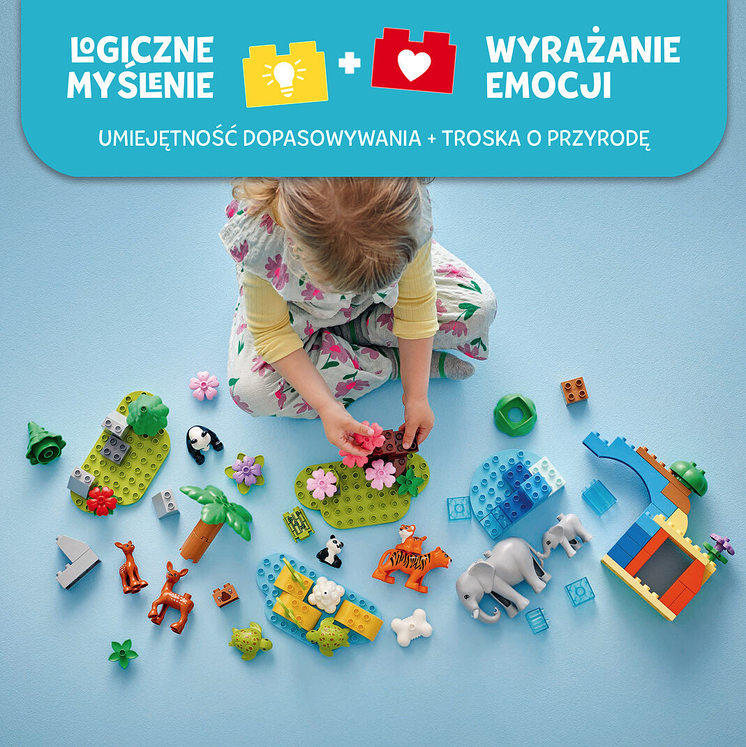 klocki-lego-duplo-town-rodziny-dzikich-zwierzat-3w1-10446-ukladanie.jpg