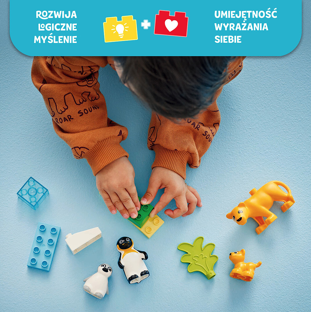 klocki-lego-duplo-town-rodziny-dzikich-zwierzat-pingwiny-i-lwy-10442-ukladanie.jpg
