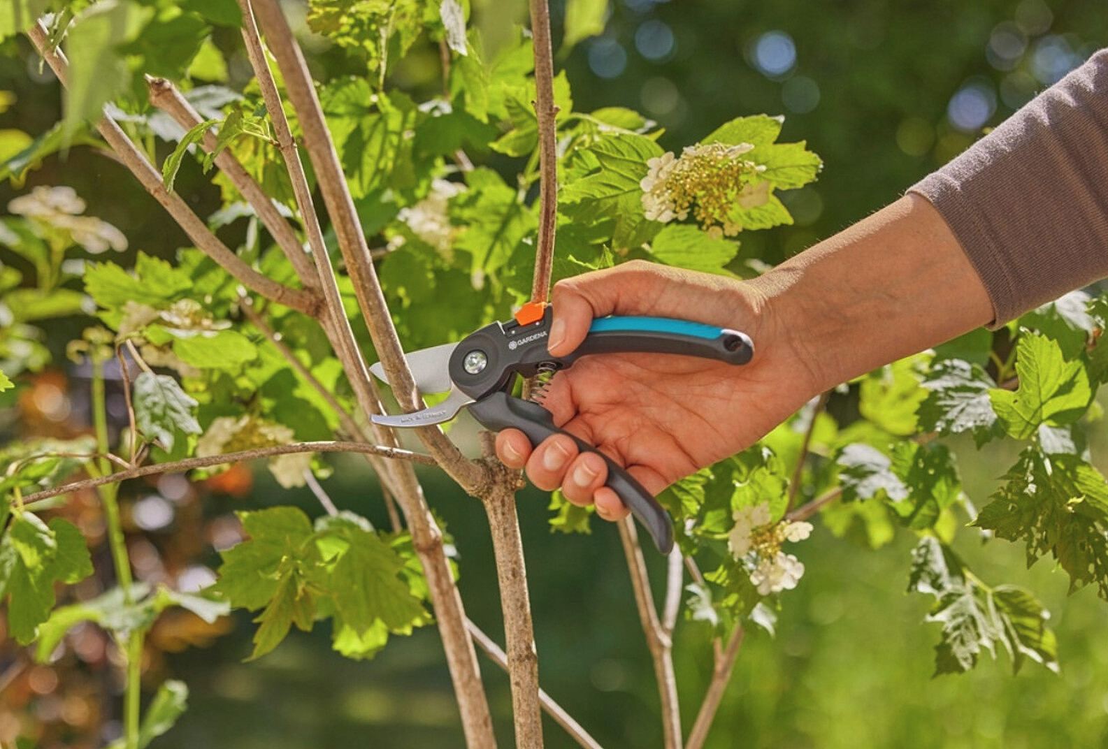sekator-ogrodowy-dwuostrzowy-gardena-premiu-cut-przycinanie.jpg