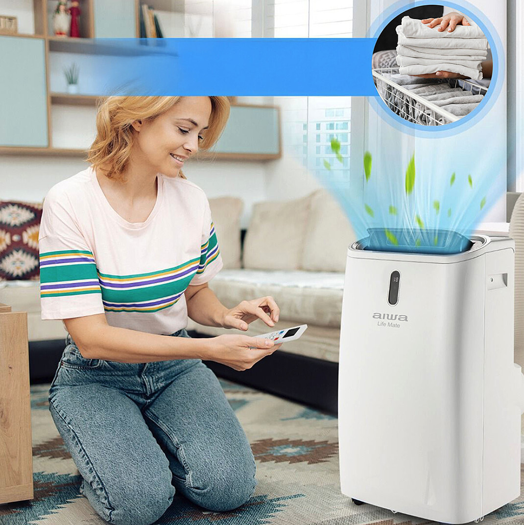 klimatyzator-aiwa-aiwa-pac12y2-zastosowanie.jpg