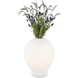 lampa-stolowa-argon-amarylis-4095-1.jpg