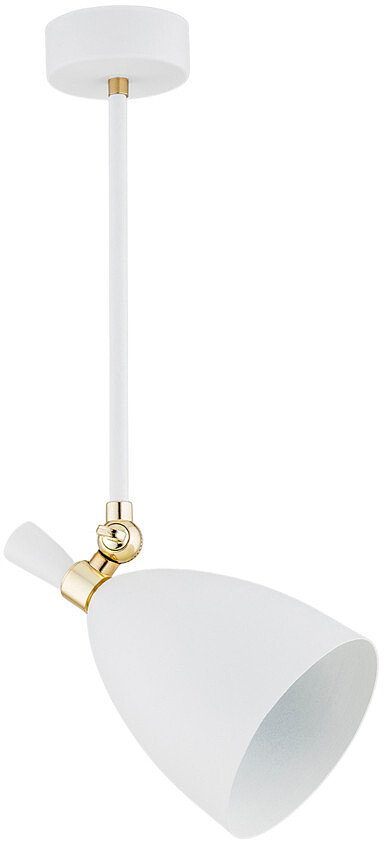 lampa-wiszaca-argon-charlotte-4684-1.jpg