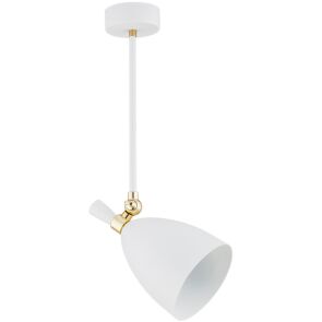 lampa-wiszaca-argon-charlotte-4684-1.jpg